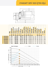STANDART SERİ 1B20 İÇTEN DİŞLİ